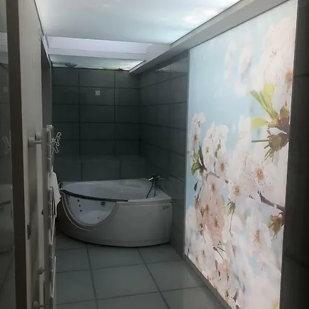 Du Lion D'or 酒店 马尔芒德