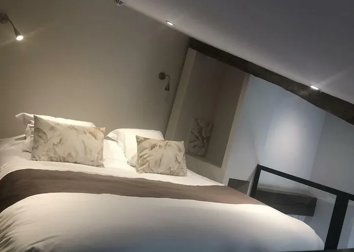 Du Lion D'or 3* Marmande